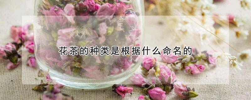 花茶的種類是根據什麼命名的