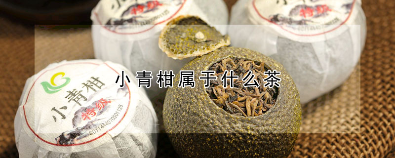 小青柑屬於什麼茶