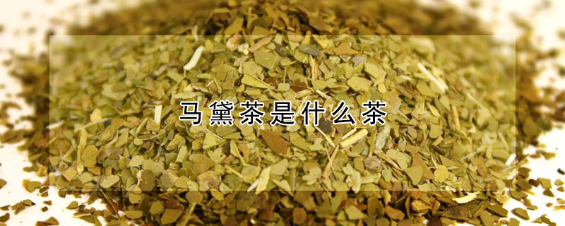 馬黛茶是什麼茶