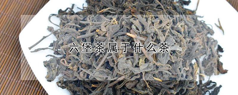 六堡茶屬於什麼茶