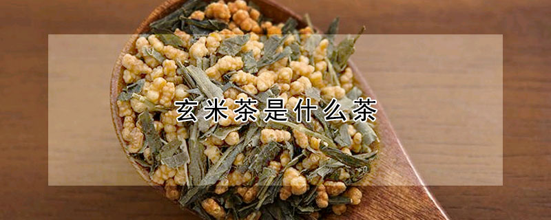 玄米茶是什麼茶