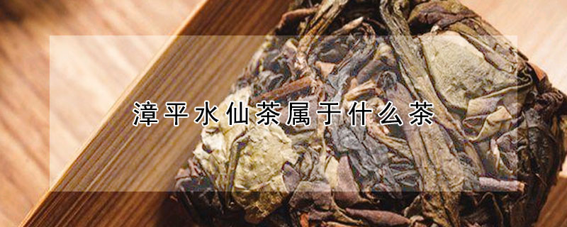 漳平水仙茶屬於什麼茶