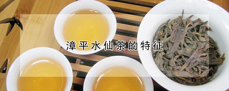 漳平水仙茶的特征