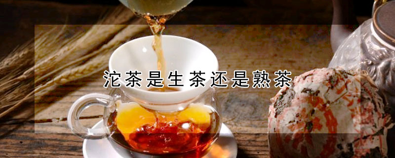 沱茶是生茶還是熟茶