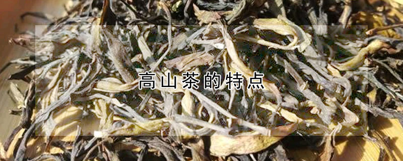 高山茶的特點