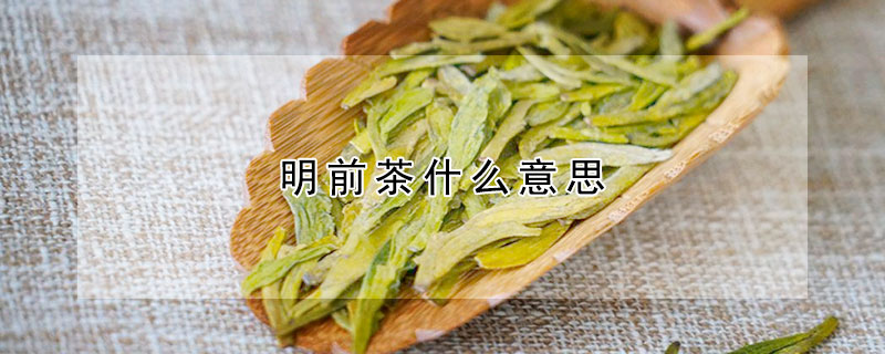 明前茶什麼意思