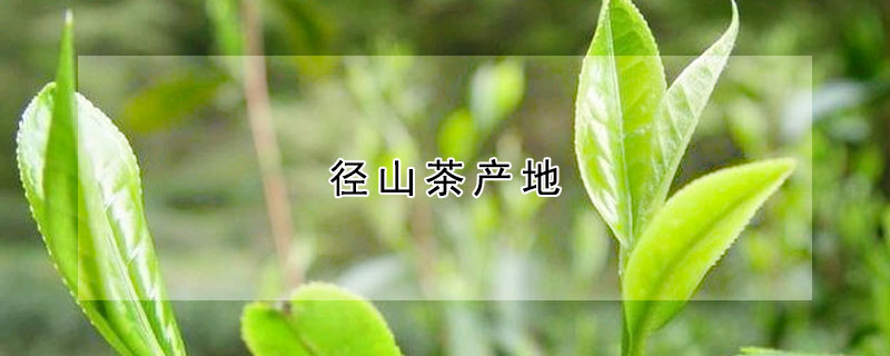 徑山茶產地