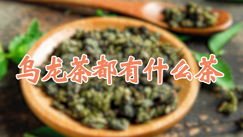 烏龍茶都有什麼茶