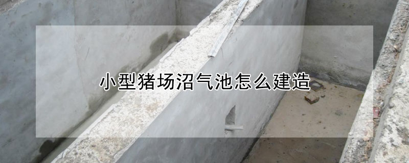 小型豬場沼氣池怎麼建造