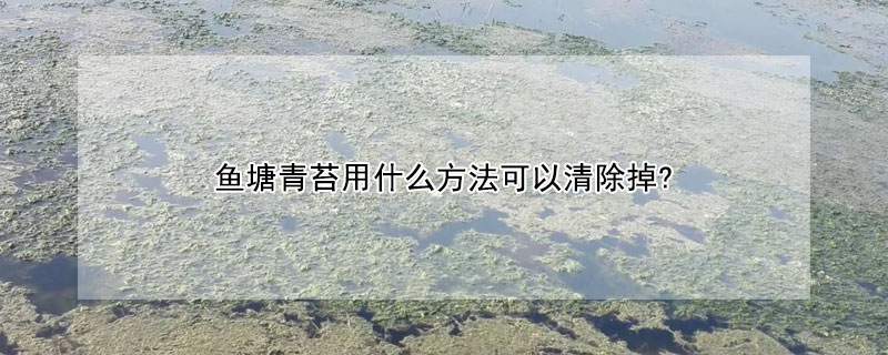 魚塘青苔用什麼方法可以清除掉?