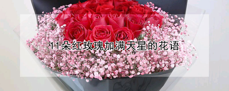 11朵紅玫瑰加滿天星的花語