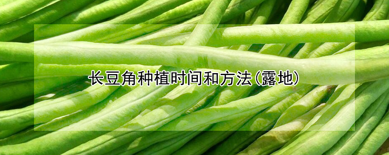 長豆角種植時間和方法(露地)