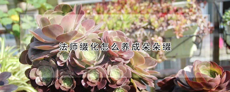 法師綴化怎麼養成朵朵綴