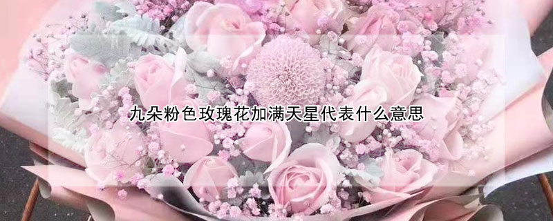 九朵粉色玫瑰花加滿天星代表什麼意思