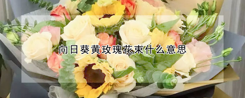 向日葵黃玫瑰花束什麼意思