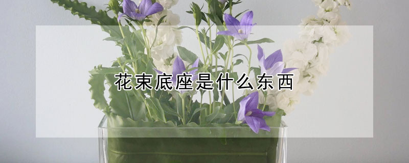 花束底座是什麼東西