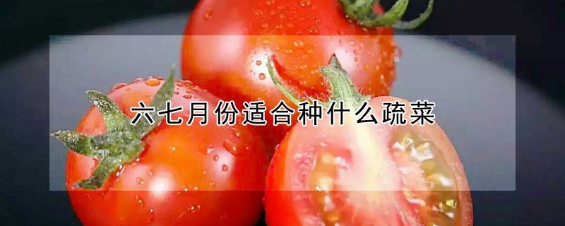 六七月份適合種什麼疏菜