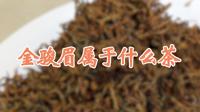 金駿眉屬於什麼茶