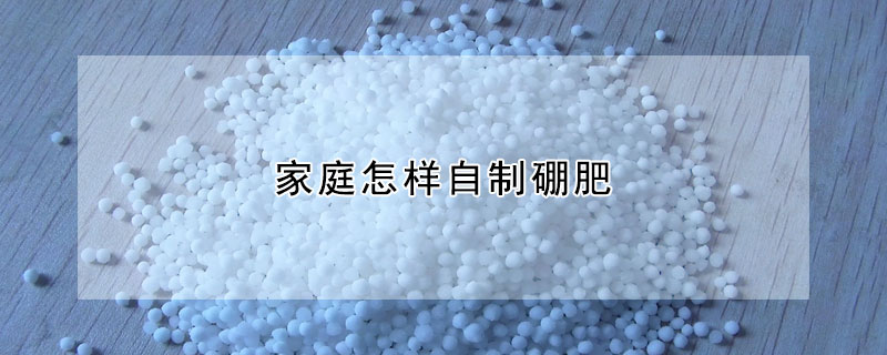 家庭怎樣自製硼肥