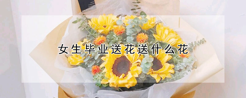 女生畢業送花送什麼花