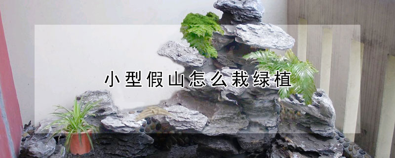 小型假山怎麼栽綠植