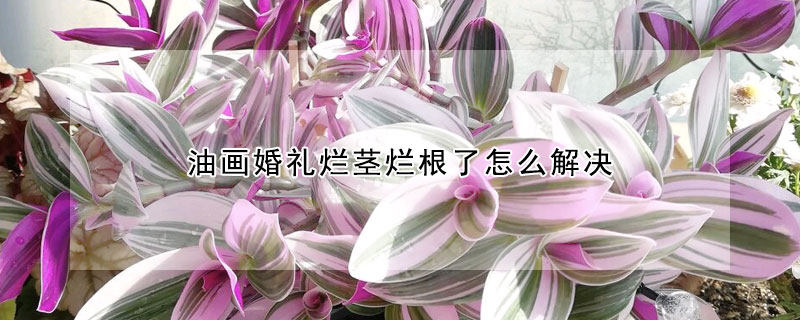 油畫婚禮爛莖爛根了怎麼解決