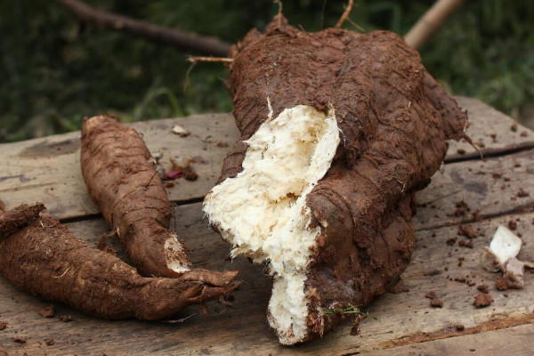 葛根怎麼吃效果最好  葛粉的正確食用方法