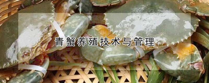 青蟹養殖技術與管理