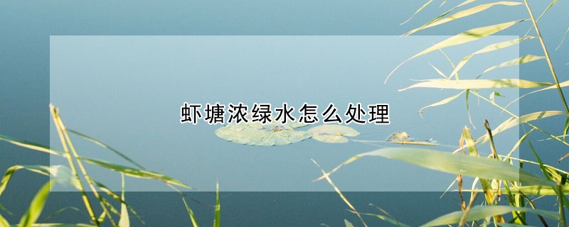 蝦塘濃綠水怎麼處理