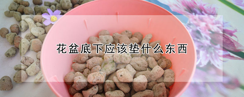 花盆底下應該墊什麼東西