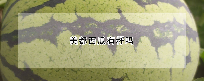 美都西瓜有籽嗎