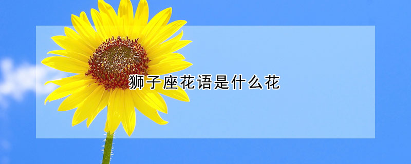 獅子座花語是什麼花