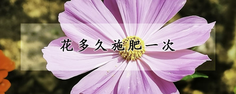 花多久施肥一次