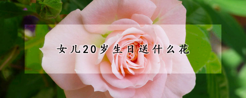 女兒20歲生日送什麼花