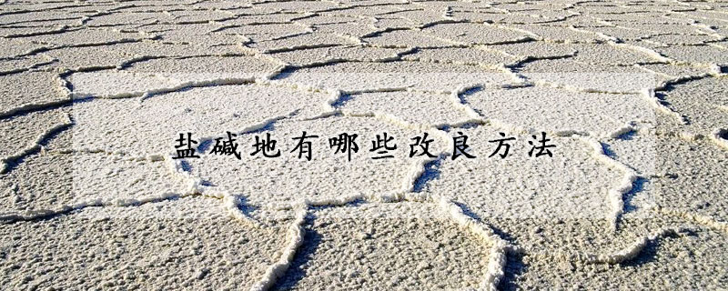 鹽堿地有哪些改良方法