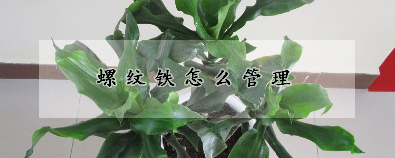 螺紋鐵怎麼管理