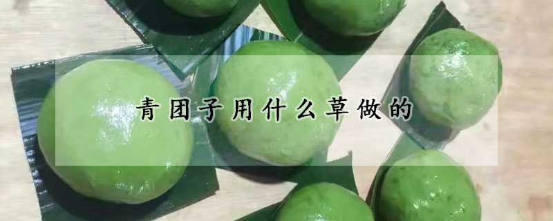 青團子用什麼草做的