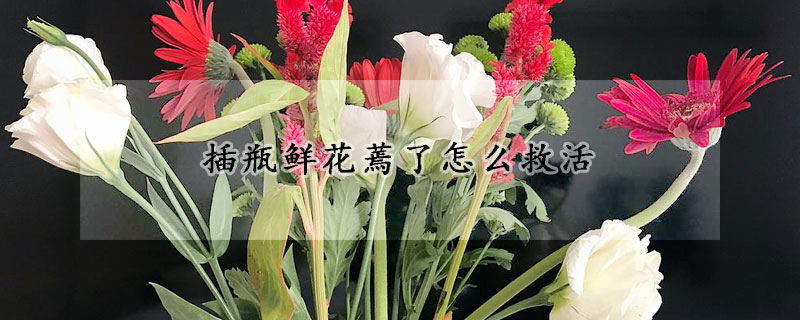 插瓶鮮花蔫了怎麼救活