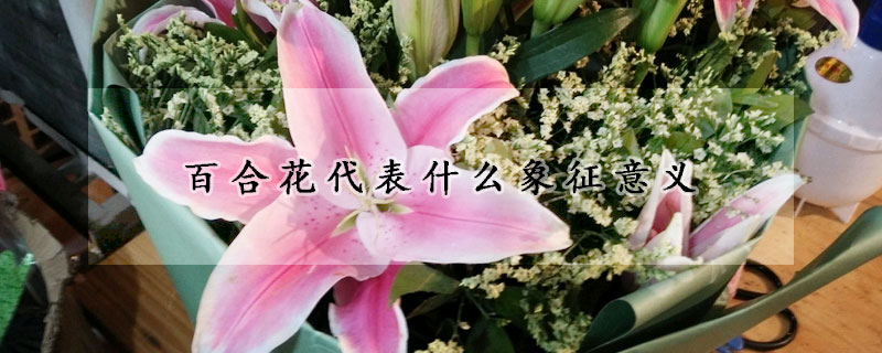 百合花代表什麼象征意義