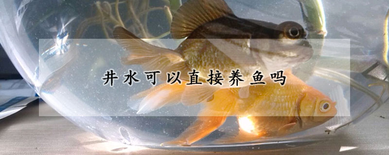 井水可以直接養魚嗎