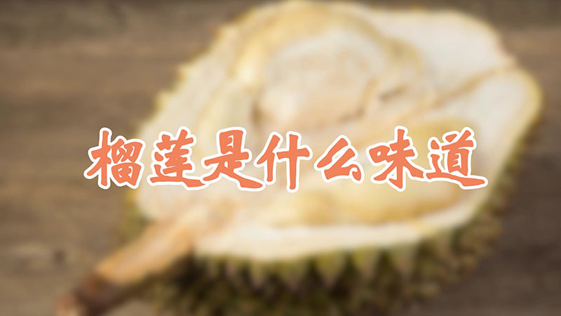 榴蓮是什麼味道