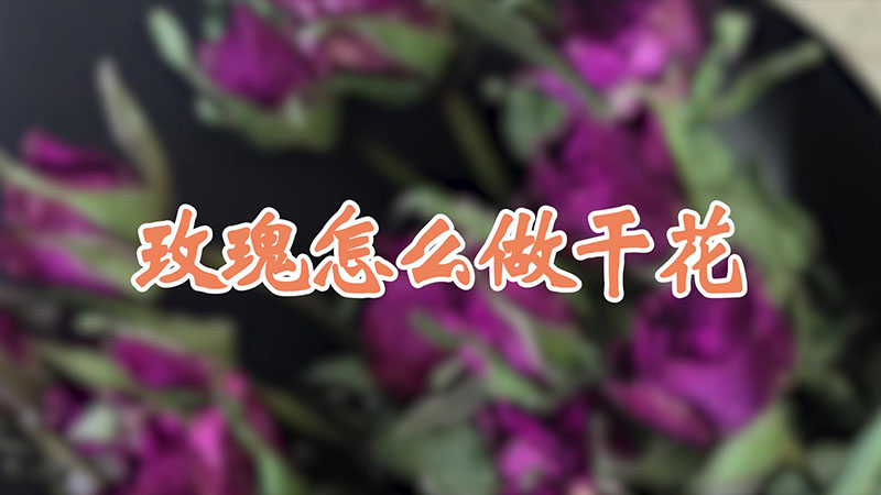 玫瑰怎麼做幹花