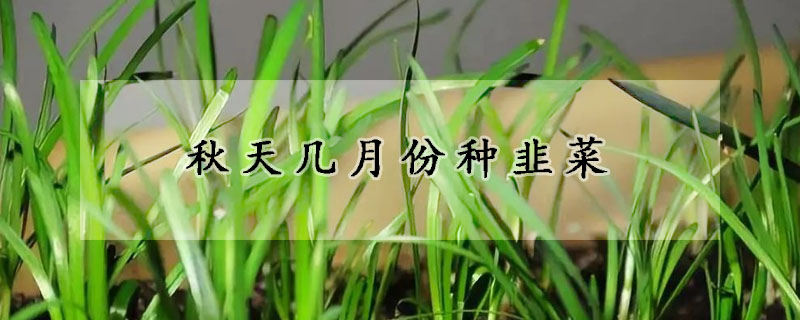 秋天幾月份種韭菜