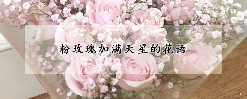 粉玫瑰加滿天星的花語