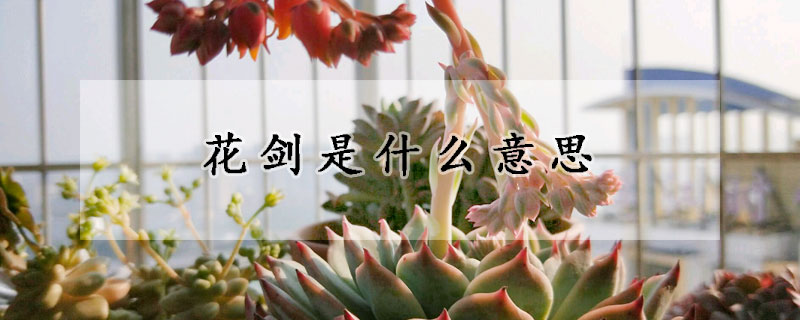 花劍是什麼意思