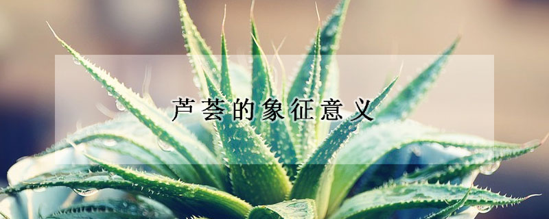 蘆薈的象征意義