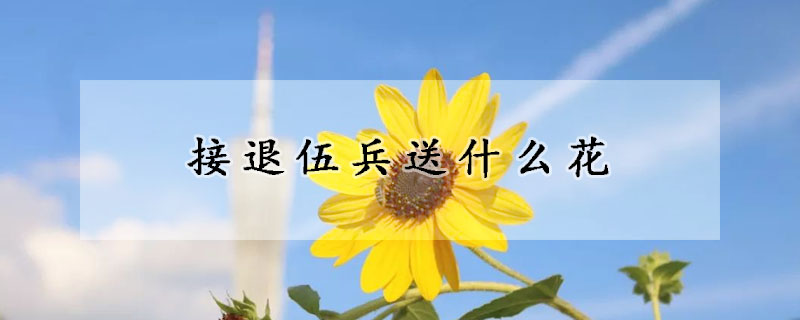 接退伍兵送什麼花