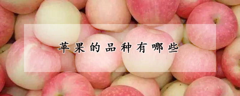 蘋果的品種有哪些