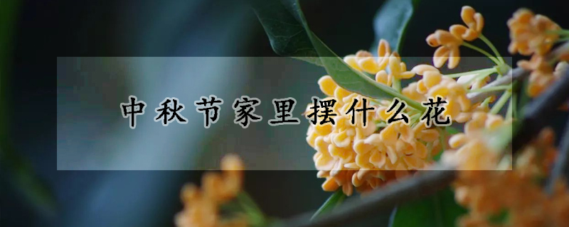 中秋節家裏擺什麼花