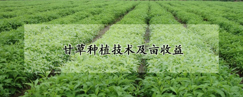 甘草種植技術及畝收益